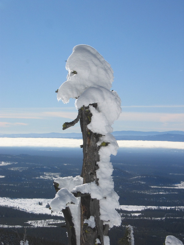 Snow sculpture